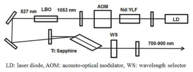 사용된 파장 가변 나노초 펄스 레이저의 개략도