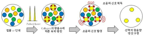 힘줄의 주요 구성 물질인 collagen의 고유한 광흡수를 이용한 광음향 기술의 개념도