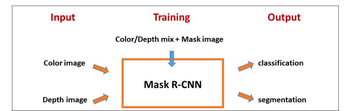 제안된 Mask R-CNN 모델 개념도