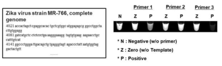 발굴한 바이오마커에 대한 Zika virus 검출 여부 검증