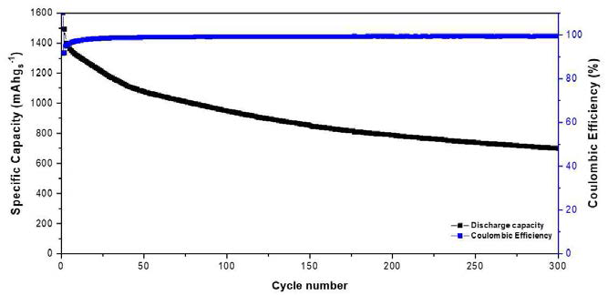 리튬-황 전지 전기화학 정전류법 충방전 그래프