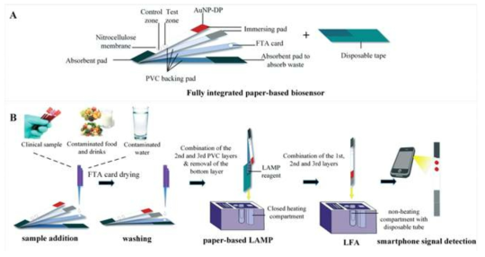 An integrated paper-based sample-to-answer biosensor for nucleic acid testing at the point-of-care, Lab Chip, 2016, 16, 611