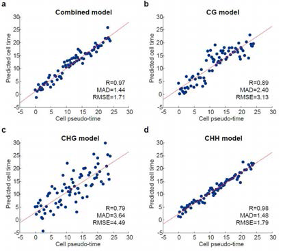 CpG, CHH, CHG 메틸화기반 세포 분화예측모델