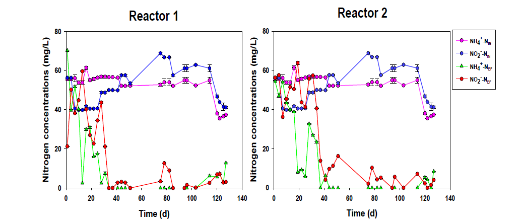 UASB 반응기 내 아나목스 균 배양을 통한 질소제거 효율; 반응기 1 (좌), 반응기 2 (우)