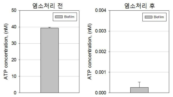 전 염소처리 전후 막여과층 내 생물활동도 변화 결과