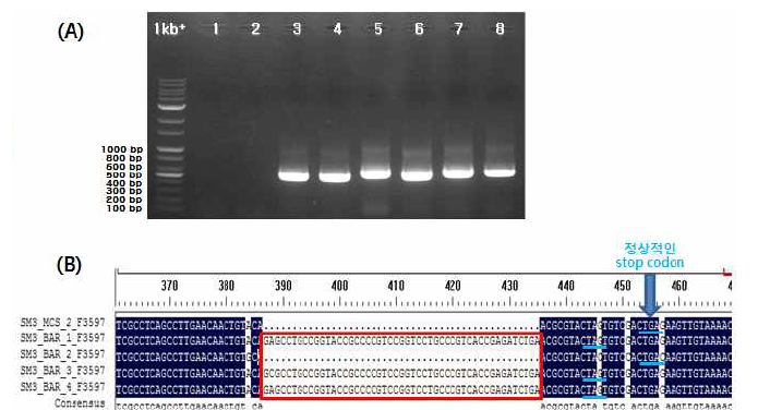 RT-PCR을 통해서 pSYCMV-BAR 클론에 의해 야기된 recombinant virus의 지놈이 안정하지 않음을 확인하였으며, PCR 산물을 시퀀싱하여 삽입된 대부분의 서열이 deletion 되었음을 알 수 있었다