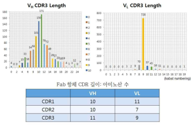 Fab 항체 CDR3 아미노산 수