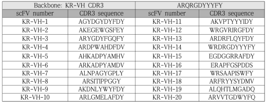 KR-VH CDR3 mutation amino acid sequence