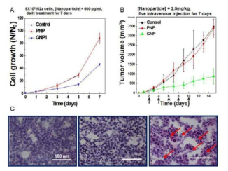 기체 발생 고분자의 암 성장 억제 효능 평가 in vitro & in vivo