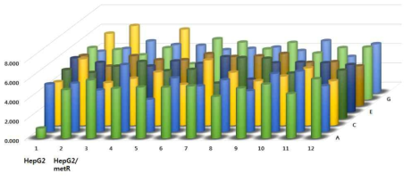 Hyperglycolyticgh-throughput 96well cell migration assay 수행을 통한 후보 유전자 발현 감소 세포의 이동성 측정. Calcein AM 염색을 통한 형광 수치를 이용한 정량적 분석