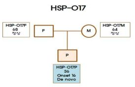 HSP-017 임상시료 가계도