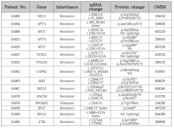 한국인 운동실조증 환자의 원인유전자 및 변이체 정보, Causal variants