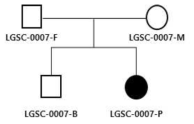 LGSC-0007 가계도