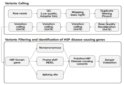 HSP De novo mutation 임상시료 WES 유전체데이터 분석 시스템