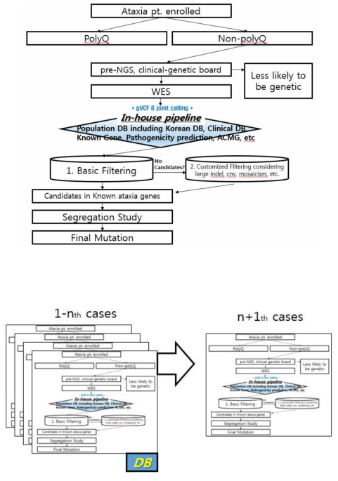한국인 운동실조증 진단패널 유전체데이터 분석 표준화 (위) 및 개별 데이터의 누적 DB화와 재분석 (아래)