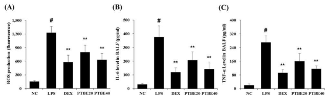 The extract of P. tomentosa stem bark (PTBE) inhibits the production of ROS and pro-inflammatory cytokines in the BALF of ALI mice. (A) ROS production was investigated with 20 μM of DCF-DA. (B-C) The levels of IL-6 and TNF-α were measured using ELISA assay. The absorbance was measured at 450 nm using microplate reader. Data are expressed as the mean ± S.D. #p< 0.01 indicates statistically significantly different from normal control group. **p < 0.01 indicates statistically significant difference compared to the LPS group