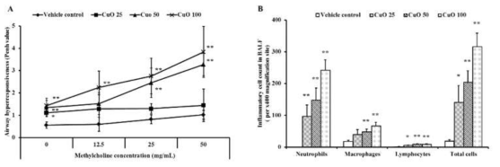 CuO에 의해 증가 및 BALF에서 CuO에 의해 neutrophil의 증가 확인