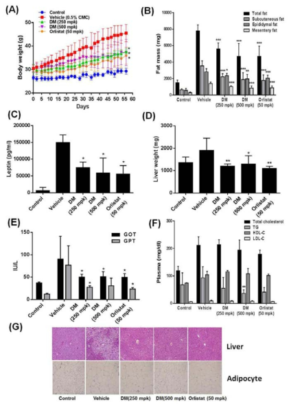 Effects of DM-1 on HFD-induced obesity in C57BL/6 mice. DM-1 (25 or 50 mpk) or orlistat (50 mpk) were gavaged orally administration. (A) Body weight in mice fed either a high fat or control diet for 8weeks. (B) A high fat diet significantly increases total fat, subcutaneous, epididymal and mesentery fat but DM-1 treatment group is reduced fat mass (C) Effect of DM-1 on serum leptin. Leptin was assayed by ELISA. (D) Liver weights of mice on high fat and control diet. (E) The level of plasma GOT and GPT. (F) Effect of DM-1 on serum lipid profile. (G) Steatosis in liver of high fat diet, DM-1 (250, 500 mpk) and orlistat (50 mpk) fed mice. The mice were sacrificed and liver tissue isolated. Histology was performed on H&E stained liver tissue as described