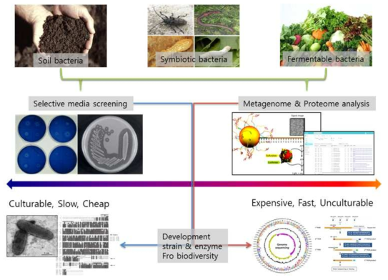유전체 기반 유용 미생물 자원 및 효소자원 발굴 모델