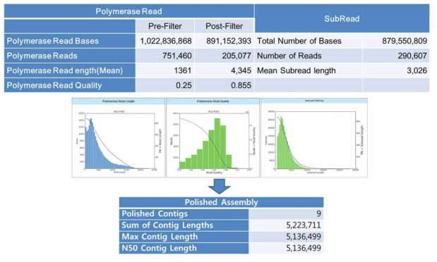 De novo assembly with PacBio data by HGAP