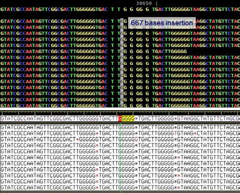 Error correction on the genome sequence