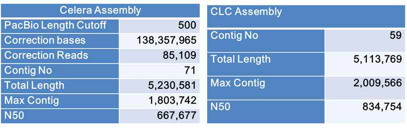 Assembly with PacBio and Illumina data