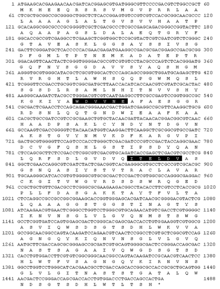 Nucleotide sequence of the XylM gene and its deduced amino acid sequence
