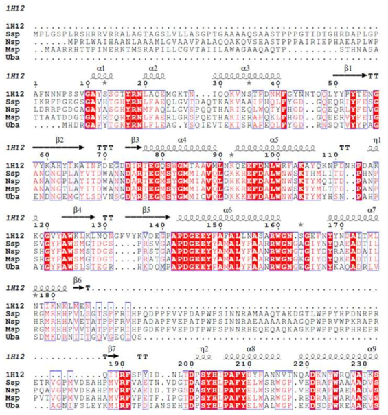 Structure-based sequence alignment of XylS and its structural homologues