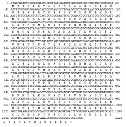 Nucleotide sequence of the XylR gene and its deduced amino acid sequence