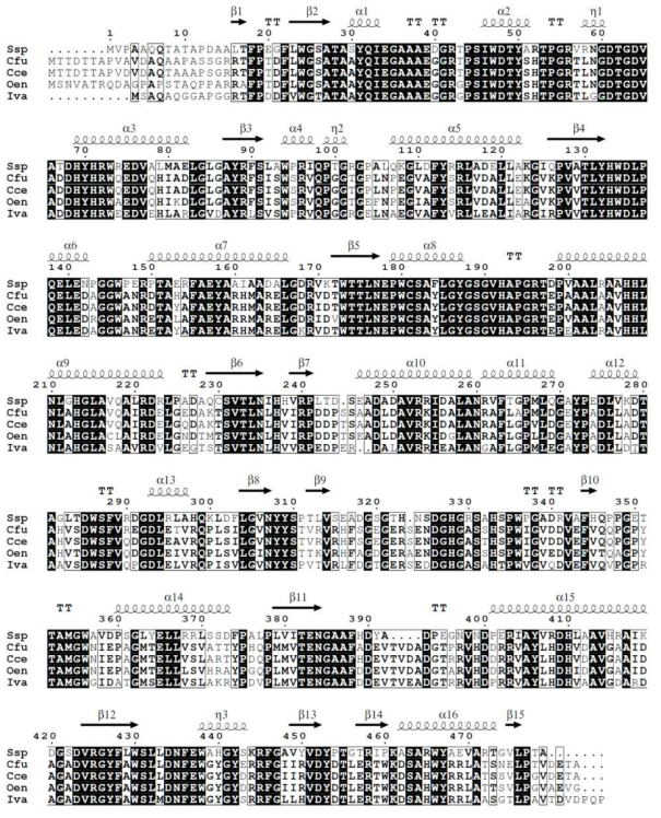 Structure-based sequence alignment of GluM and its structural homologues