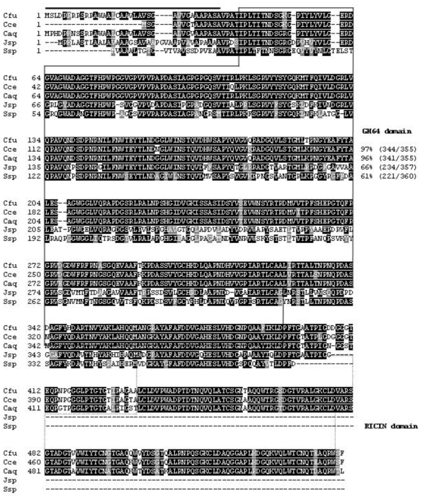 Multiple sequence alignment of GluY and its structural homologues