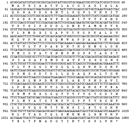 Nucleotide sequence of the XarN gene and its deduced amino acid sequence