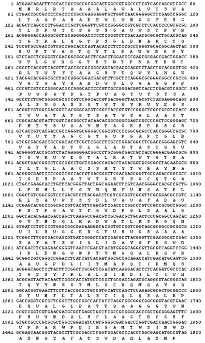 Nucleotide sequence of the ChiY gene and its deduced amino acid sequence