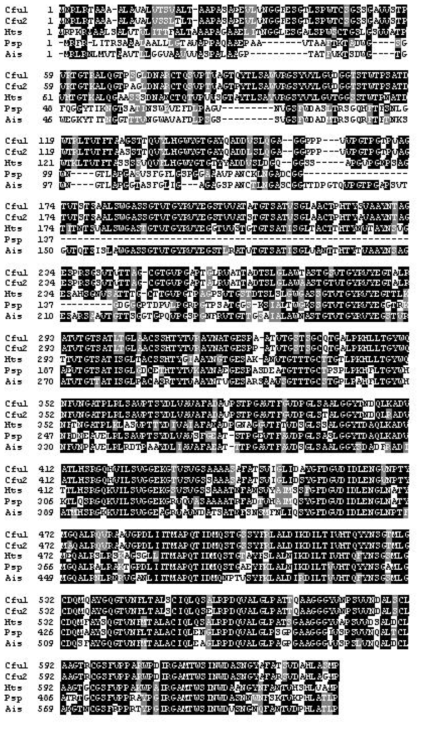 Multiple sequence alignment of ChiY and its structural homologues