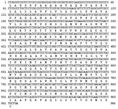 Nucleotide sequence of the ChiJ gene and its deduced amino acid sequence