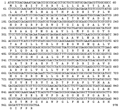 Nucleotide sequence of the EstJ gene and its deduced amino acid sequence