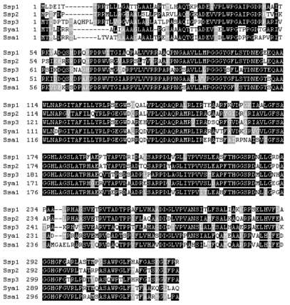 Multiple sequence alignment of EstJ and its structural homologues