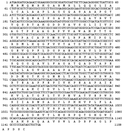 Nucleotide sequence of the LipY gene and its deduced amino acid sequence