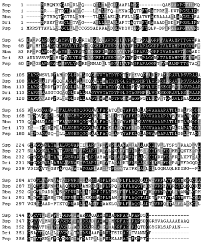 Multiple sequence alignment of LipY and its structural homologues