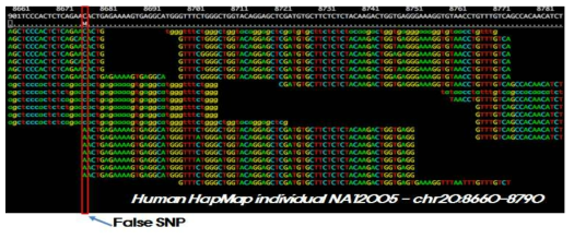 Whole Exome sequencing데이터 PCR duplication 제거