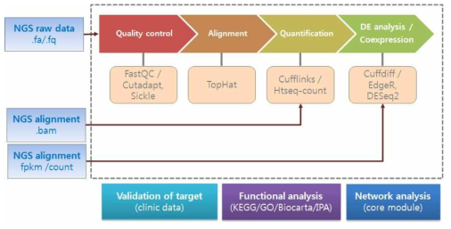 RNA-seq 분석 절차