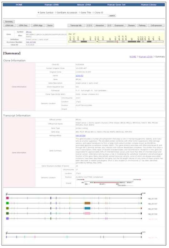 유전체 DB BRCA1 클론 정보 및 OMICS정보 결과페이지