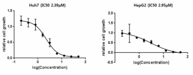 Huh7과 HepG2의 소라페닙 IC50