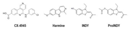 CX-4945와 기존에 DYRK1A의 가장 강력한 억제물질로 알려진 Harmine, INDY, proINDY의 화학구조