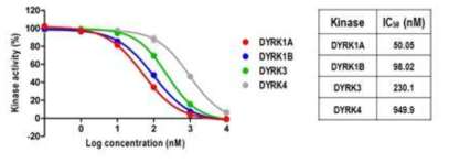 AS화합물의 in vitro DYRK 효소활성 억제 효능
