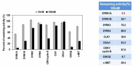 화합물 K1의 in vitro CMGC kinase 효소 활성 억제 효능