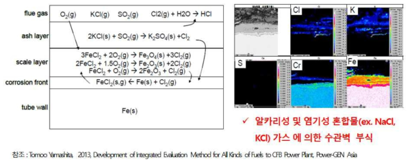 SRF 보일러의 Water Wall Panel의 부식 메카니즘 예시