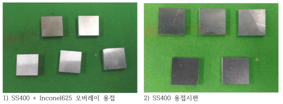 동전위 양분극 측정 시험에 사용된 시편