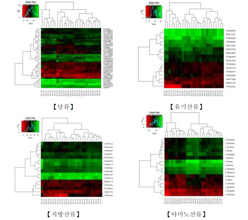 콩잎 대사체의 분류별 Heat map