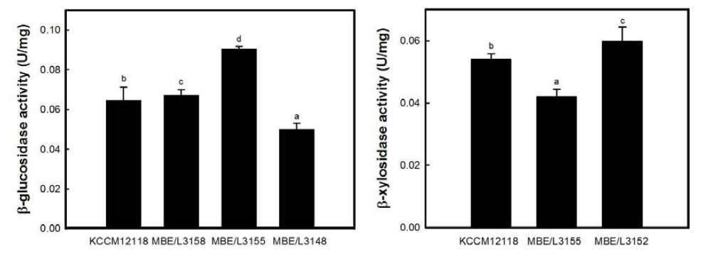 E. faecium 균주의 β-glucosidase 및 β-xylosidase 효소활성